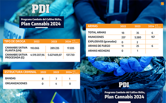 Plan Cannabis 2024